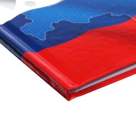 Universal diary for grades 1-11, "Symbolism-4", solid cover 7BC, glossy lamination, 40 sheets-3