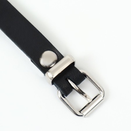 Bordordnik leather, size 24 (American cocker-spaniel, zvergshnuzer), black-7