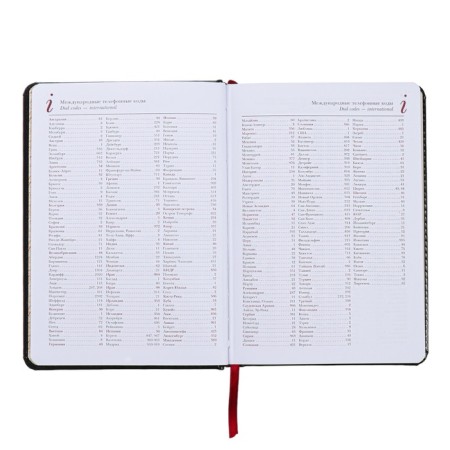 Diary of a low -end A5+, 136 sheets of Sidney Nebraska, hard cover, artificial leather, silver cut, black-6