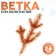 Decor "Vetochka spruce golden"