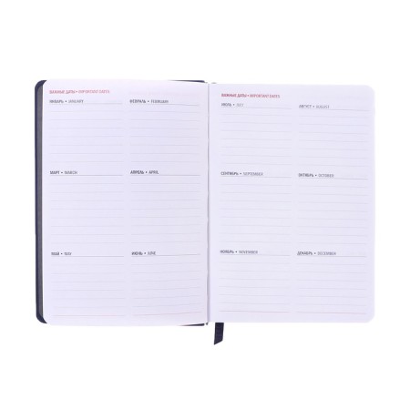 Dated diary of 2025, A6+, 176 sheets "Lyon", solid cover, pancake embossing, with liesa, block 80 g/m2, blue-8