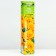 Tarot Rosa seedling spring 2024, 1 pc.