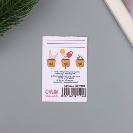 A postcard with the seeds "grow itself" "wealth!" 5*7cm-2
