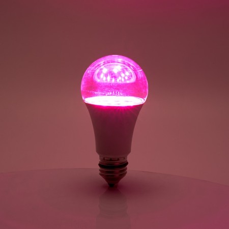 Feron, E27, 15 W, 175-265 V, red-blue lights lamp-4