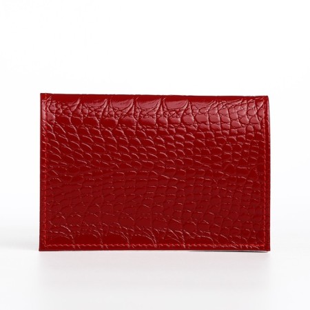 Cover for passport, red color-1