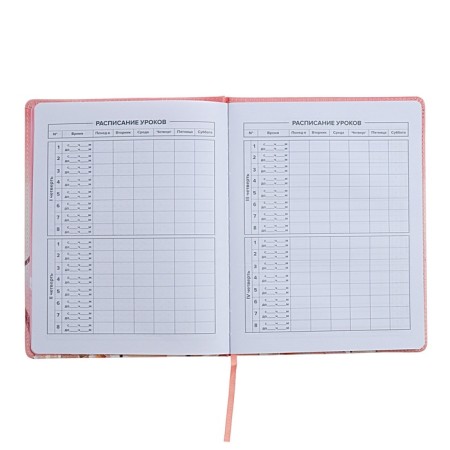 Universal Diary Grade 1-11, 48 sheets "Girl in the cap", solid covering of artificial leather, uplife, lies, universal cheat sheet, block 80 g/m2-6