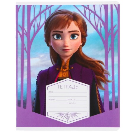Notebook in a ruler of 12 sheets, 5 types of mix, cover coated cardboard, cold heart-7