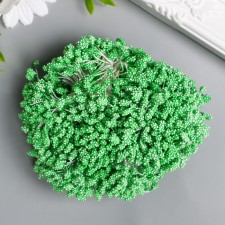 Stamens for flowers 