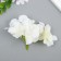 Flowers for decoration "hydrangea" white 10x10 cm