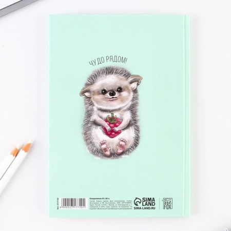 Diary "Miracle near", hard cover, A5, 80 sheets-3