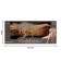 Dinosaurian figure "World of dinosaurs: acroctosaurus", 25 cm