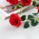 Artificial flowers "Eustoma rose" 47 cm, mix
