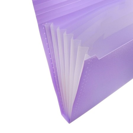 Folder Carder Calligrata watercolor 6 department. A4 plastic 0.7mm lavender, black resident-2