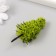 Artificial plant for creativity plastic "spruce" light green 6 cm