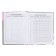 School diary for grades 1-11, 48 sheets "Rabbit Graffiti", hard cover, matte lamination, universal cheat sheet, block 65g/m2