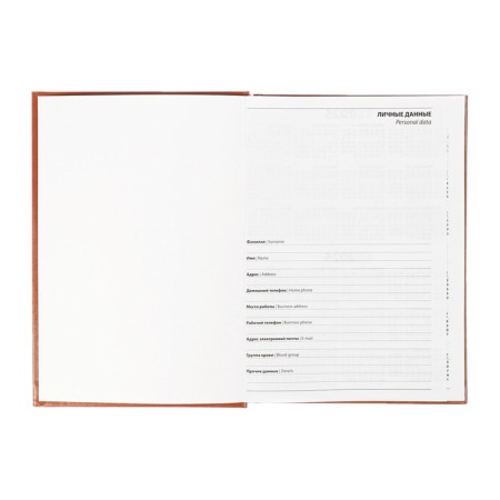 Dated diary of 2025, A5, 168 sheets, boumvinyl, brown-4