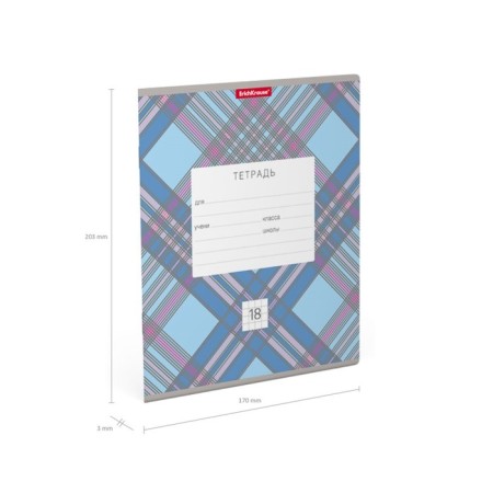 A notebook of 18 sheets in the Erichkrause Optima Check cage, covered cartoon, 100% whiteness offset, mix-8