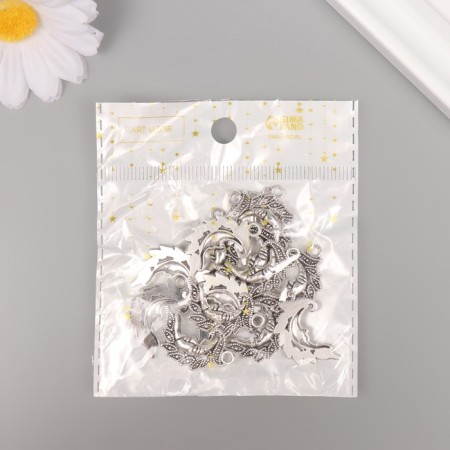 Decor for creativity Metal "Patterned month" silver 2.6x1.5 cm-3