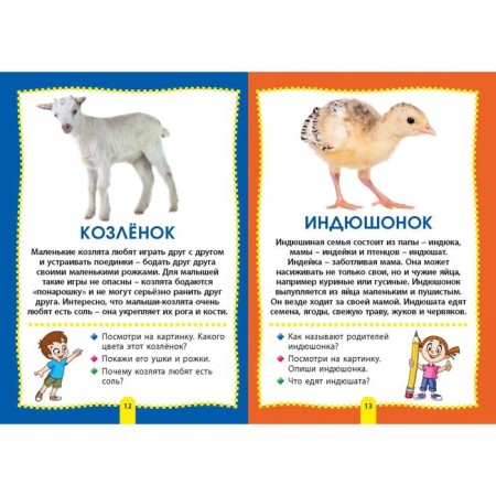 Cubs of animals. Photo book for the smallest-1