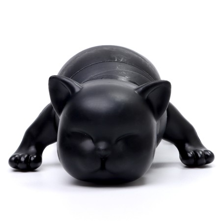 Developing toy "Black Cat"-4