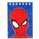 Gift set for creativity, 6 items, spiderman