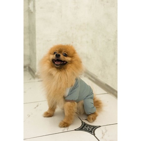Winter overalls for animals, fleece, XL (DS 32-34, Osh 32, OG 40-44 cm), gray-14