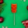 New Year. Caramel Lolloice Figure Sweet Ness "Polar Beasts", 24 g