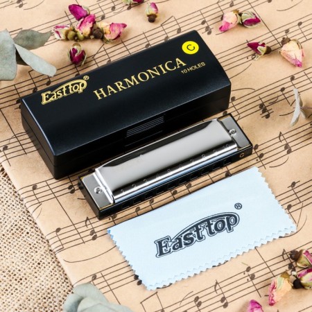 Music Life T10-3 Harly Diatonic, 10 holes, with a case