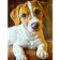 Diamond mosaic with a partial filling on the subframe "dog", 30 x 40 cm