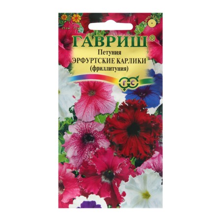 Petunia seeds "Erfut dwarfs", 7 pcs.