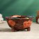 Pot - oval bonsian