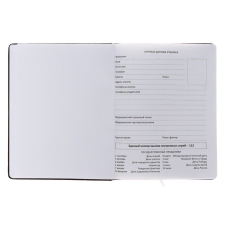 Universal diary for grade 1-11 Unique, hard cover, artificial leather, foam rubber, lies, 80 g/m2-3