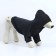 Single-fat sweatshirt for dogs (footer), size S (DS 23, Osh 32-34, OG 40-44), gray