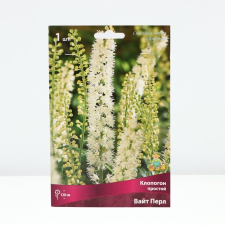 Klopogon Simple White Pearl, Rr. I, 1 pc, Spring 2025-3