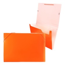 Folder Carder Calligrata Neon 6 department. A4 plastic 0.7mm orange. Cut in color
