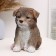 Piggy bank "puppy" red, 16cm