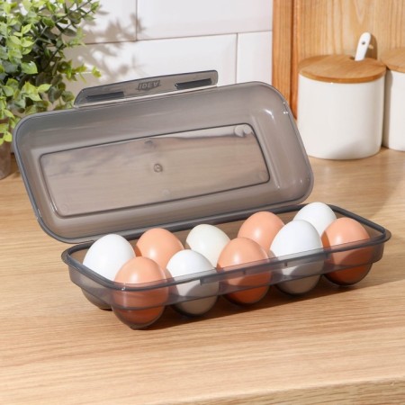 Container for eggs for 10 pcs, color mix-2