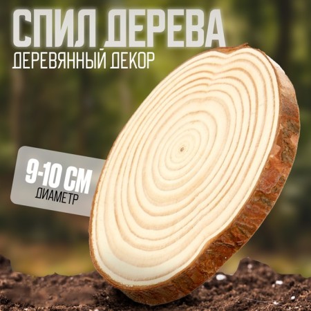 Wooden decor "Sawdal of a tree" Size: from 9 to10 cm
