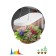 Lamp for plants ERA Fito-25W-QLED-Fly suspended full spectrum 25 W