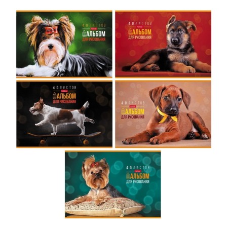 Album for drawing A4, 40 sheets, on paper clip, "favorite pets", covered cardboard, block 100 g/m², mix