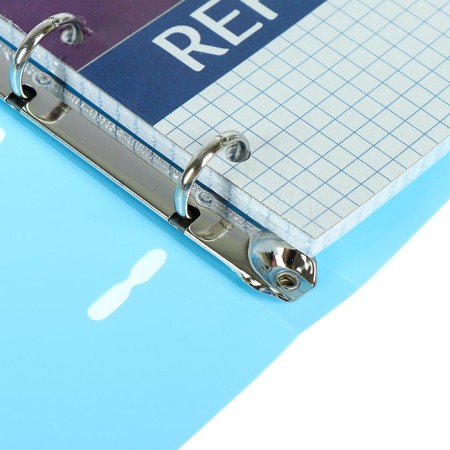 A notebook on rings A5, 80 sheets in the Erichkrause "Pastel", plastic cover, OFSET BOLK, 100%whiteness, mix-2