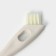 Double universal Raccoon Breeze, 24 × 2.8 cm, pile 2 cm