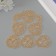 Decor for creativity Plastic "Fan of Transparent-gold" set of 20 pcs 3x2.1 cm