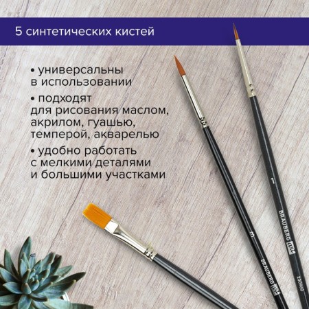 System of Synthetics 5 pieces, Brauberg Art Classic, round No. 1, 2, 3; Flat No. 6, 12-12