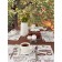 Set of kitchen tablecloth, Coffee stands, size 110x140 cm, 35x45 cm - 4 pcs, coffee, brown 10