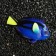 Decor for the Aquarium "Blue Surgeon", silicone, with a neon effect, 8.5 x 5 cm