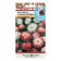 Flower seeds Margarita "Snow Queen", 300 pcs.
