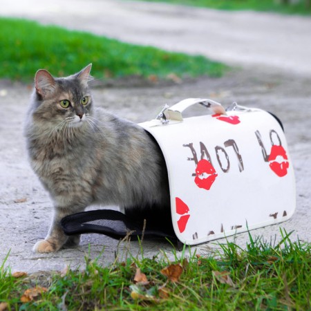 Bag - Animal Carriage "Love", size S, white, 37.5 x 17 x 22 cm-1