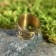 Amulet ring "Leo", brass