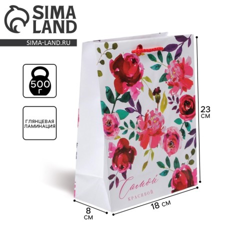 Gift laminated package, packaging, Pressent for You, MS 18 x 23 x 8 cm